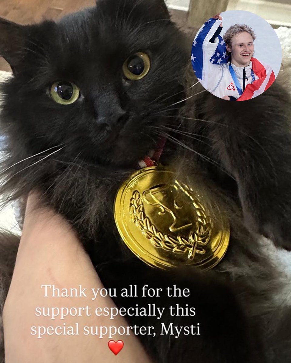 Cat's Pride tweet media