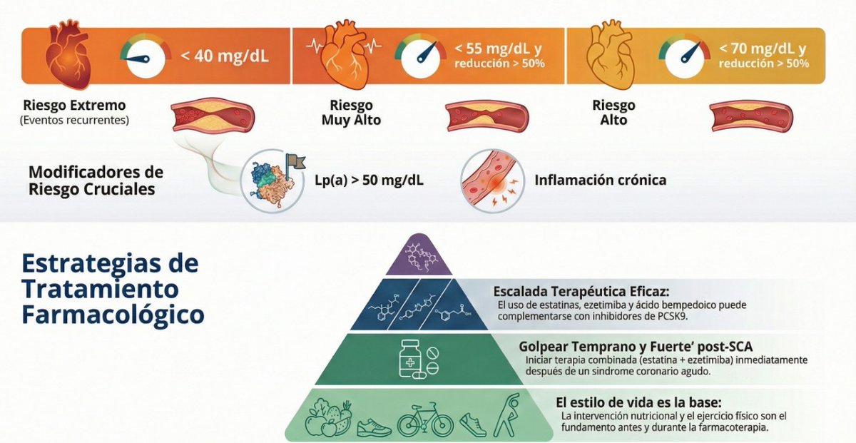 cardioteca's tweet photo. 🆕 Guía práctica para el manejo de la dislipidemia: actualización 2025

Lee el artículo completo y revisa las claves prácticas aquí: https://t.co/E1AXoWL66i 

🫀 La dislipidemia sigue infradiagnosticada e infratratada: incluso en muy alto riesgo, muchos pacientes no alcanzan objetivos de LDL.
🧪 Más allá del LDL: apoB y colesterol remanente ayudan a explicar el riesgo CV residual; la lipoproteína(a) debe medirse al menos una vez y >50 mg/dL potencia el riesgo.
🎯 Objetivos LDL se mantienen (vs 2019): muy alto riesgo <55 mg/dL (y ↓≥50%); riesgo extremo <40 mg/dL.
💊 Novedad 2025: terapia combinada precoz y potente tras SCA; si no basta con estatinas, escalar (ezetimibe, ácido bempedoico, PCSK9/inclisirán). 🚀 En camino: fármacos anti-Lp(a) (fase III) y edición génica como apuesta futura.