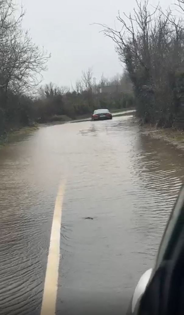 GreyhoundHousehold tweet media