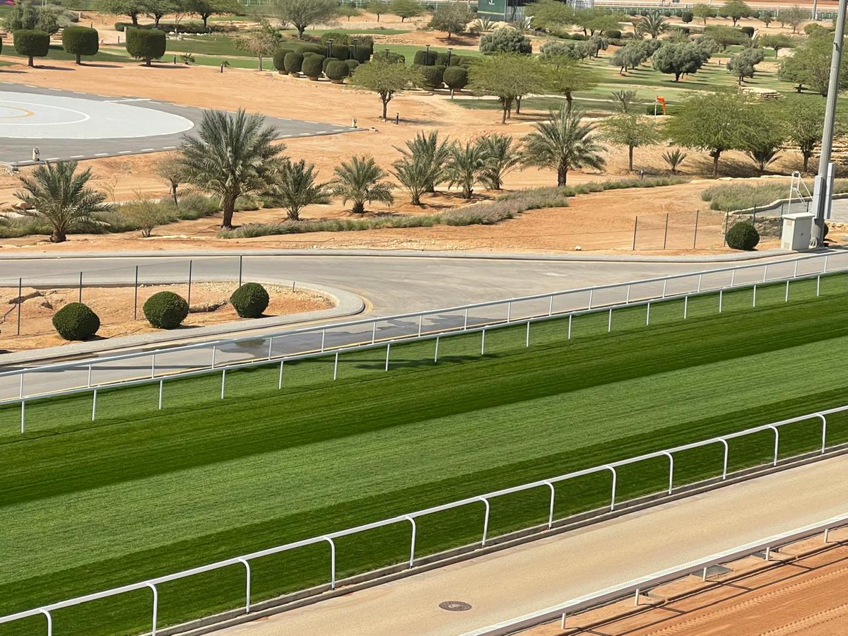 STRI Group tweet media