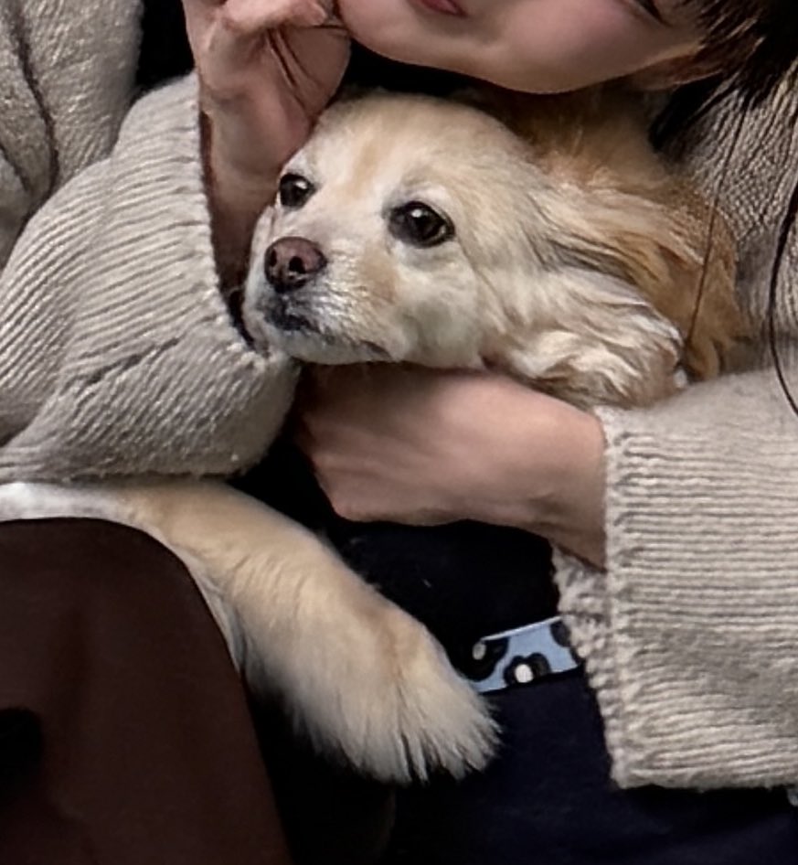 바보야 생일추카행💙💙
노블루 너무기여움