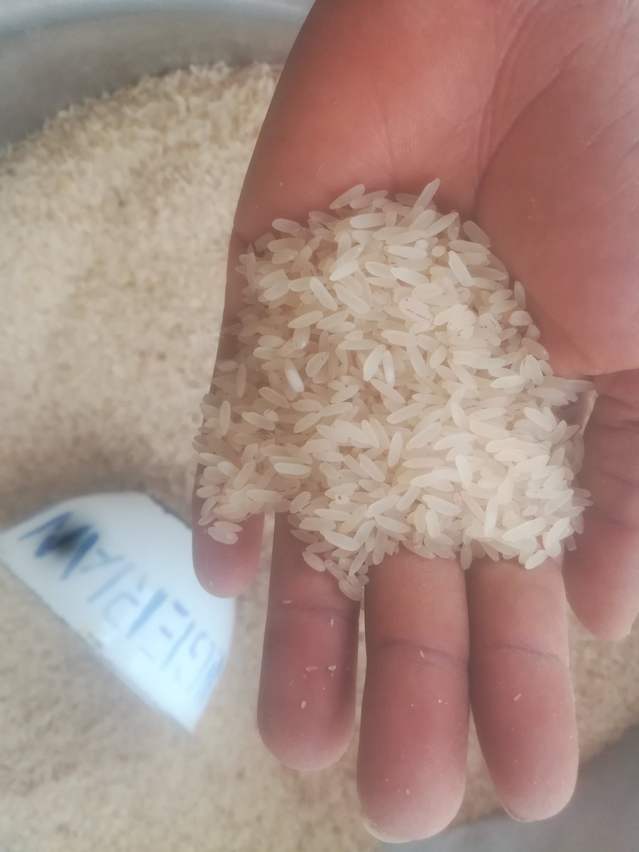Agrobizs's tweet photo. Clean, fresh,tasty and affordable local rice available for immediate pick up at 50k for 50kg and there is discount for bulk buying.
Nationwide delivery 
Location Bauchi https://t.co/2eTM83W909