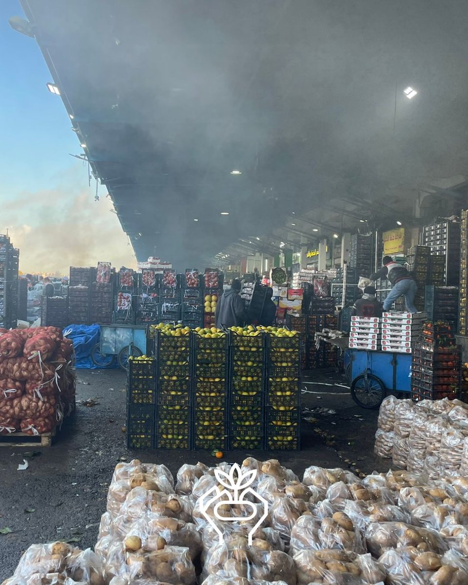sayagrico's tweet image. Onlangs bezochten twee collega's Jordanië, daar zagen zij hoe onze aardappelen hun weg vinden van het land naar de markt. Daarnaast bezochten zij percelen waar momenteel de tweede teelt van het jaar groeit met rassen als #Spunta en #Arizona. 

#AgricoPotatoes #Internationaal