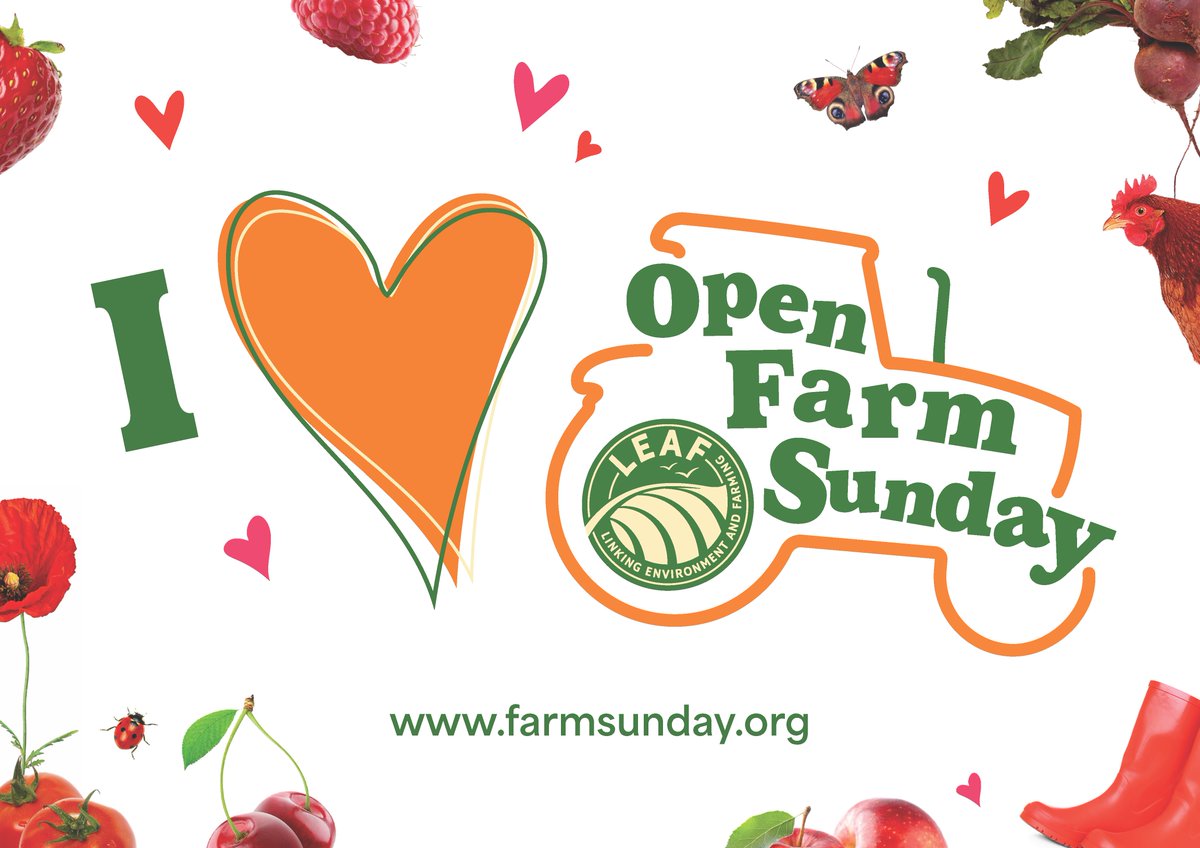 OpenFarmSunday tweet media