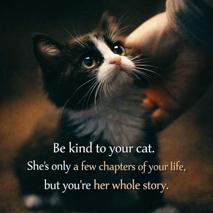 👌❤️❤️❤️