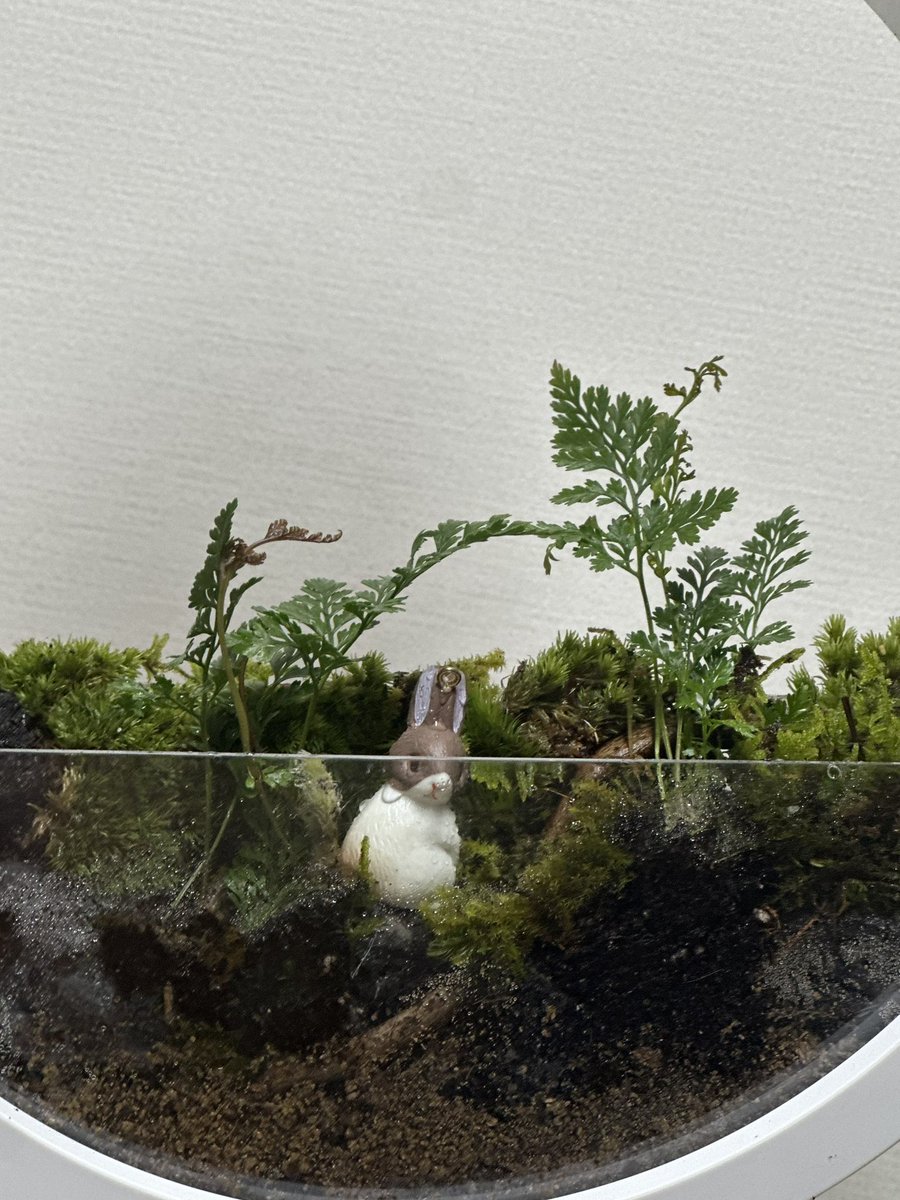 강뿌콘_kangpucon tweet media