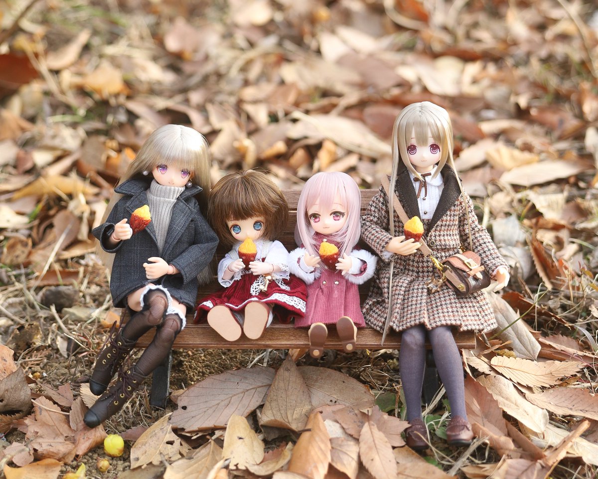 またみんなでお出かけしようね
#よそのこかわいい
#ドールのベンチ