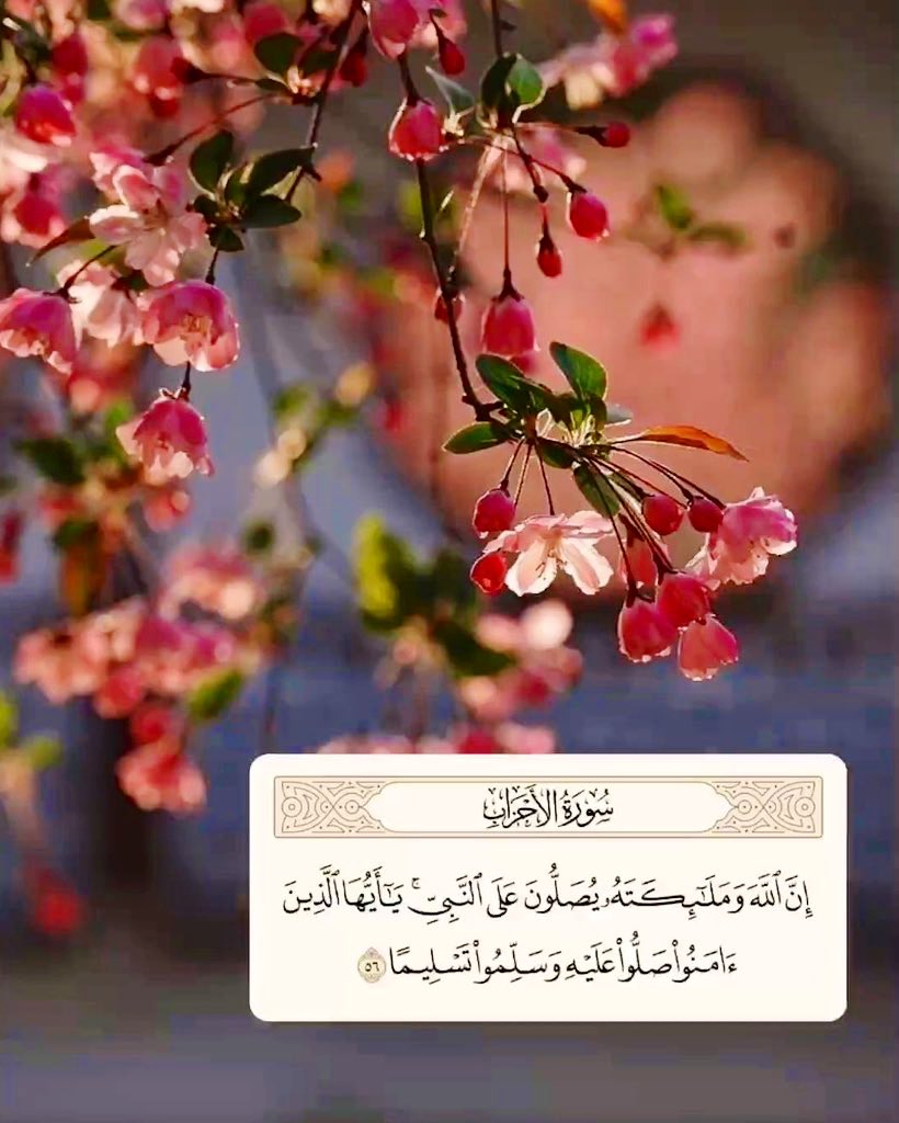 رابِـــــيـة tweet media