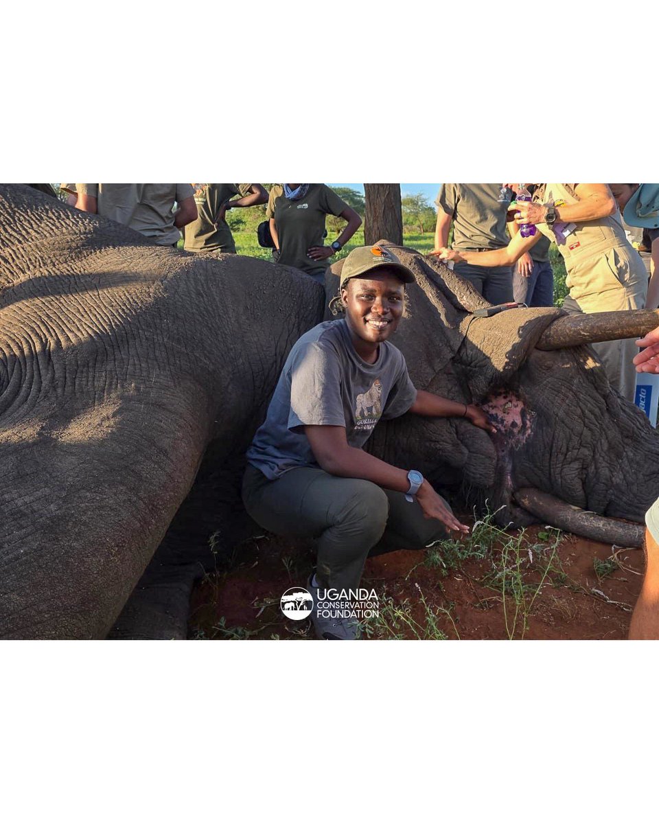 UgandaCF tweet media