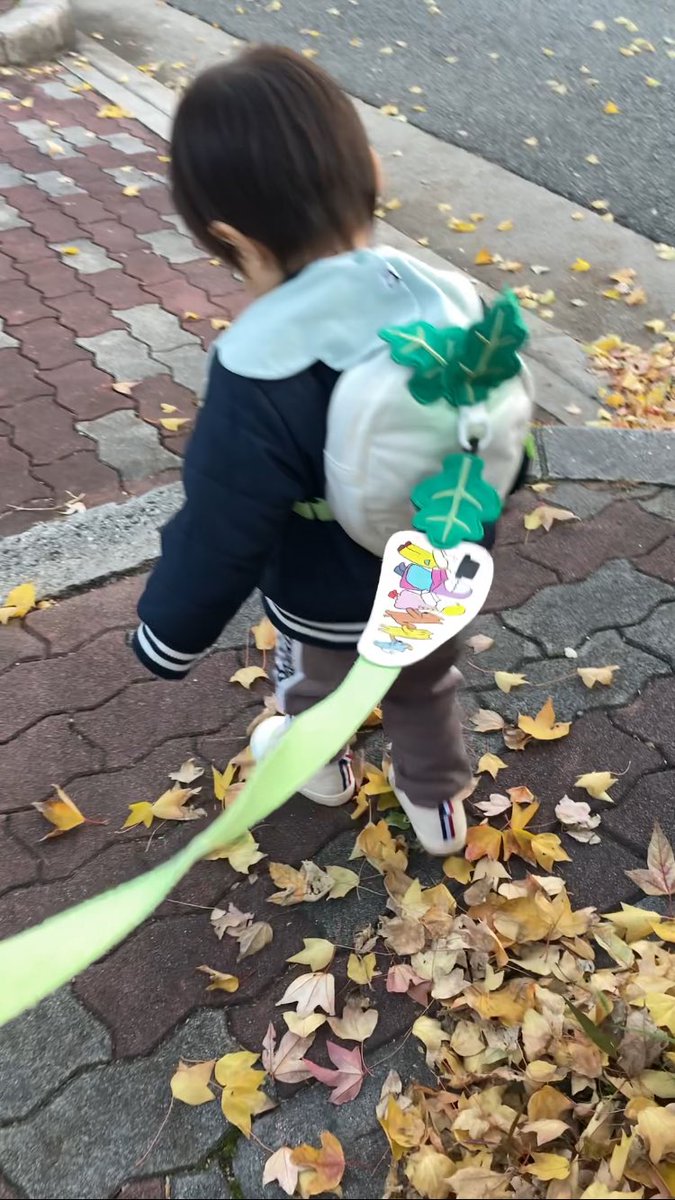 すっきり☺︎2㍍🚃🦖(R5/12/1) tweet media