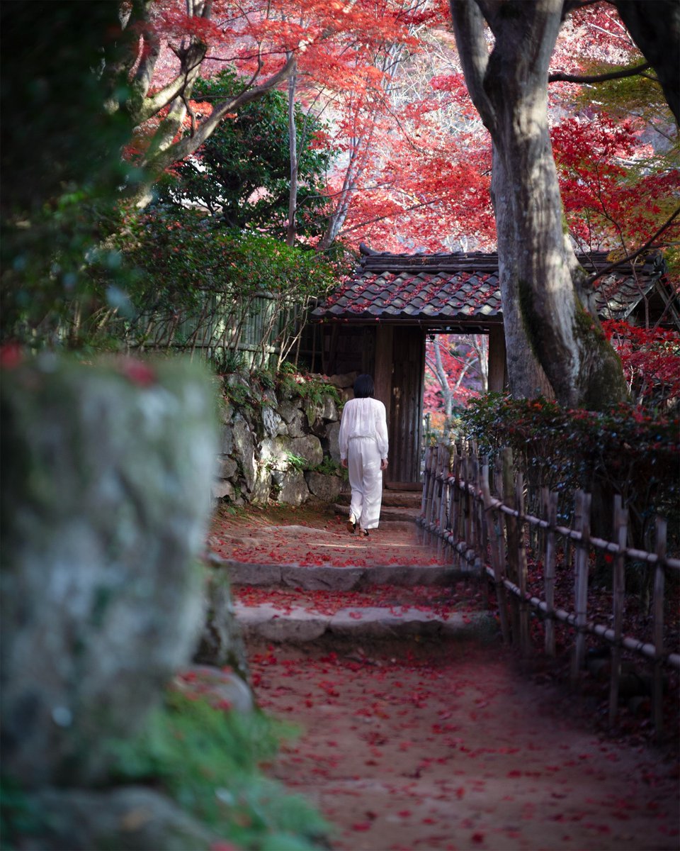 yori.so gallery ＆ label tweet media