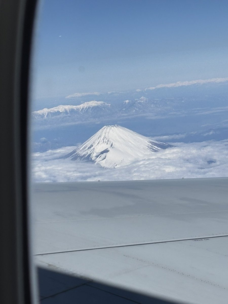 Risa Kanae 🍵 tweet media