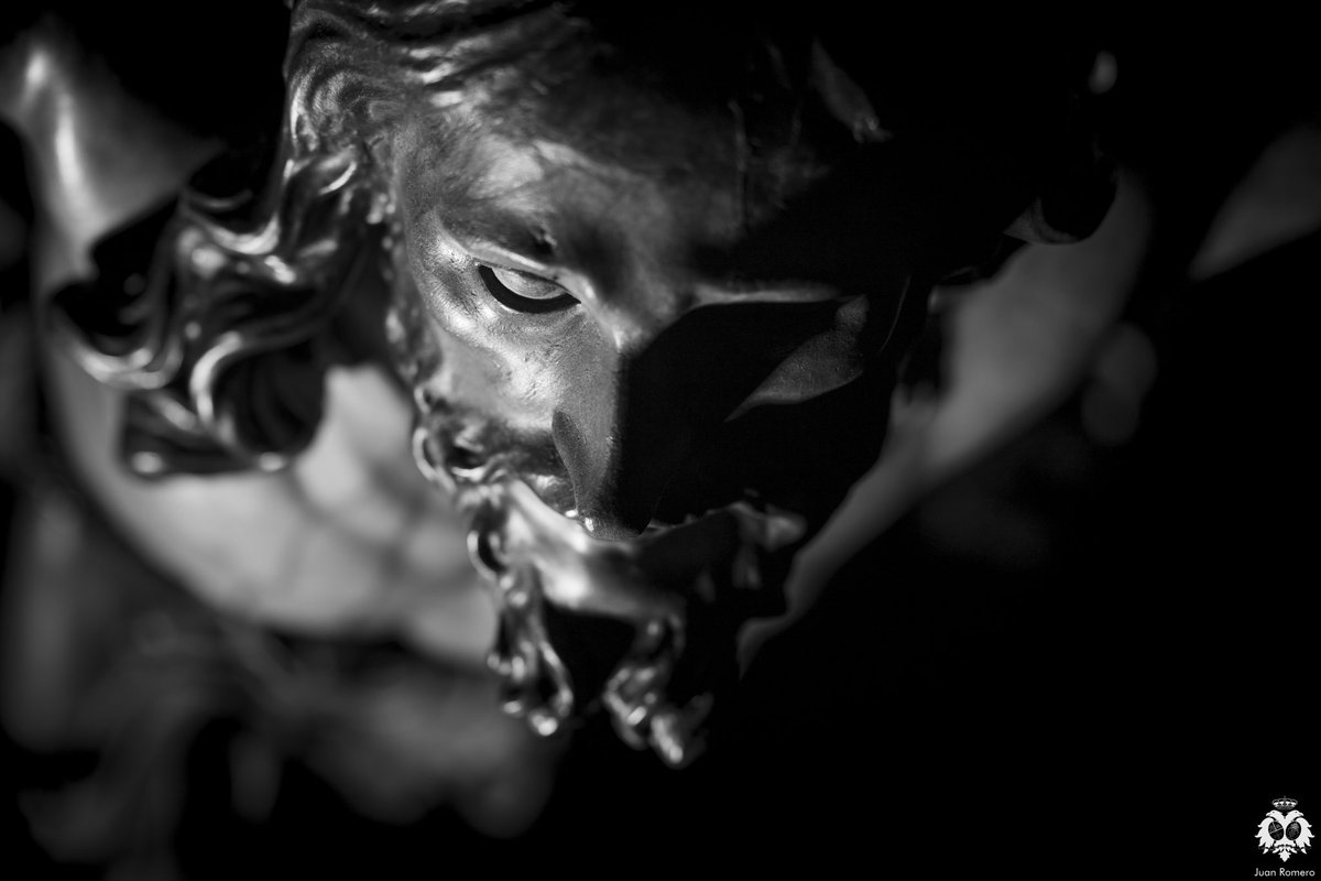 Hoy es #ViernesdeCachorro.

"¿No te dije que si crees verás la gloria de Dios?"