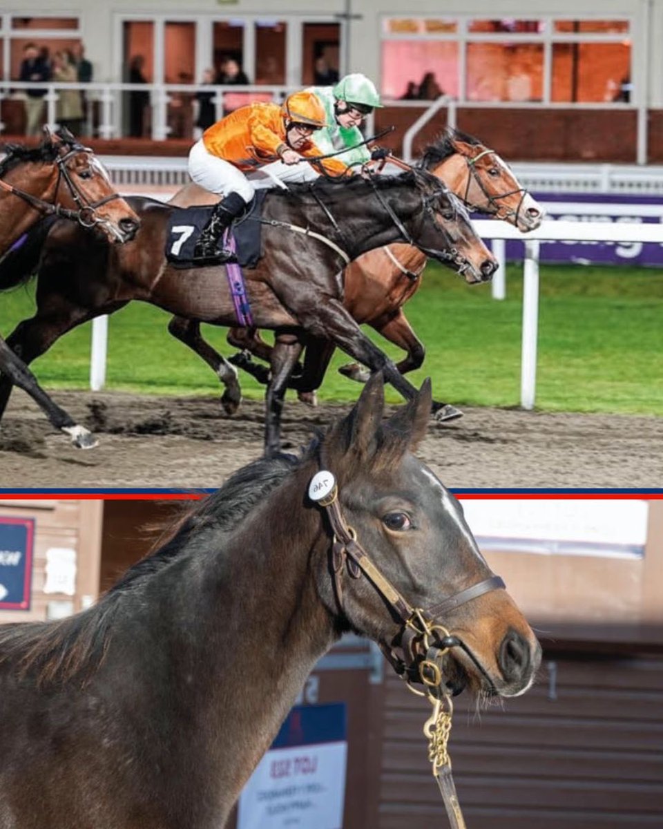 Jamie Railton Sales Agency tweet media