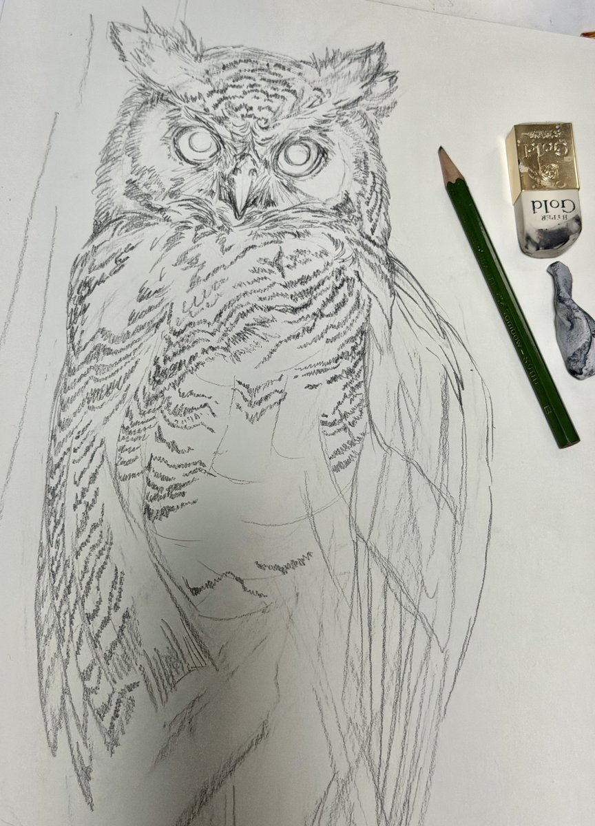 ふわふわ🪶🦉

 #イラスト 