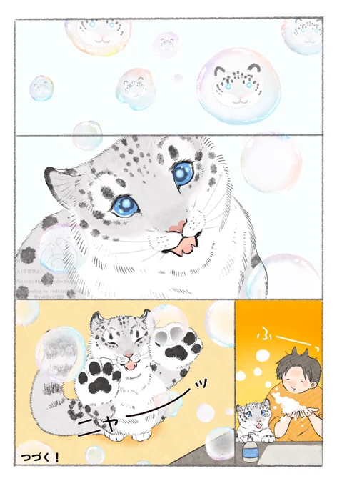 2/2 