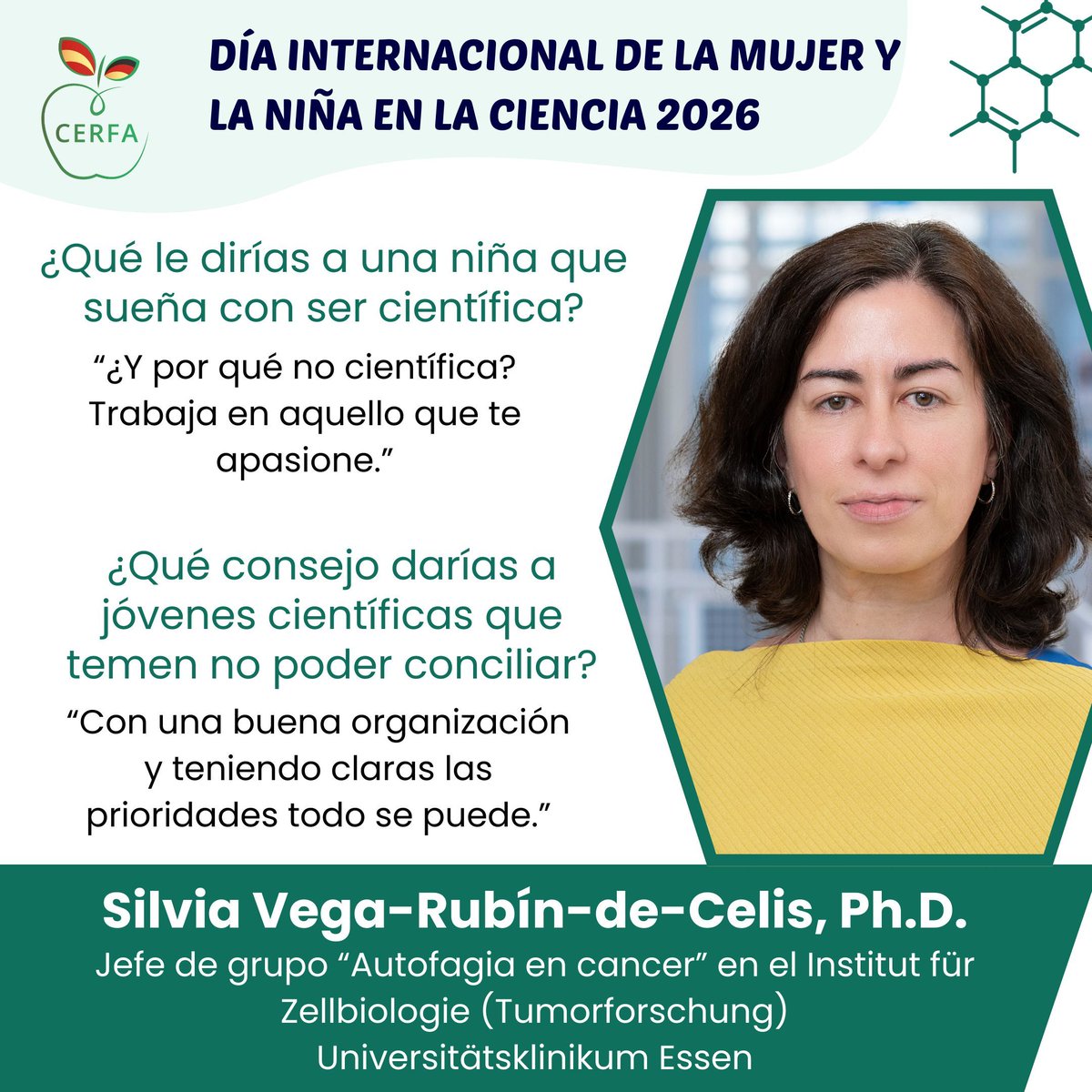 Sociedad CERFA tweet media