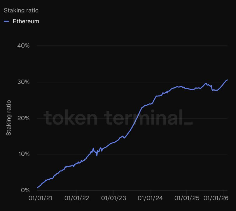 CryptoGoos tweet media