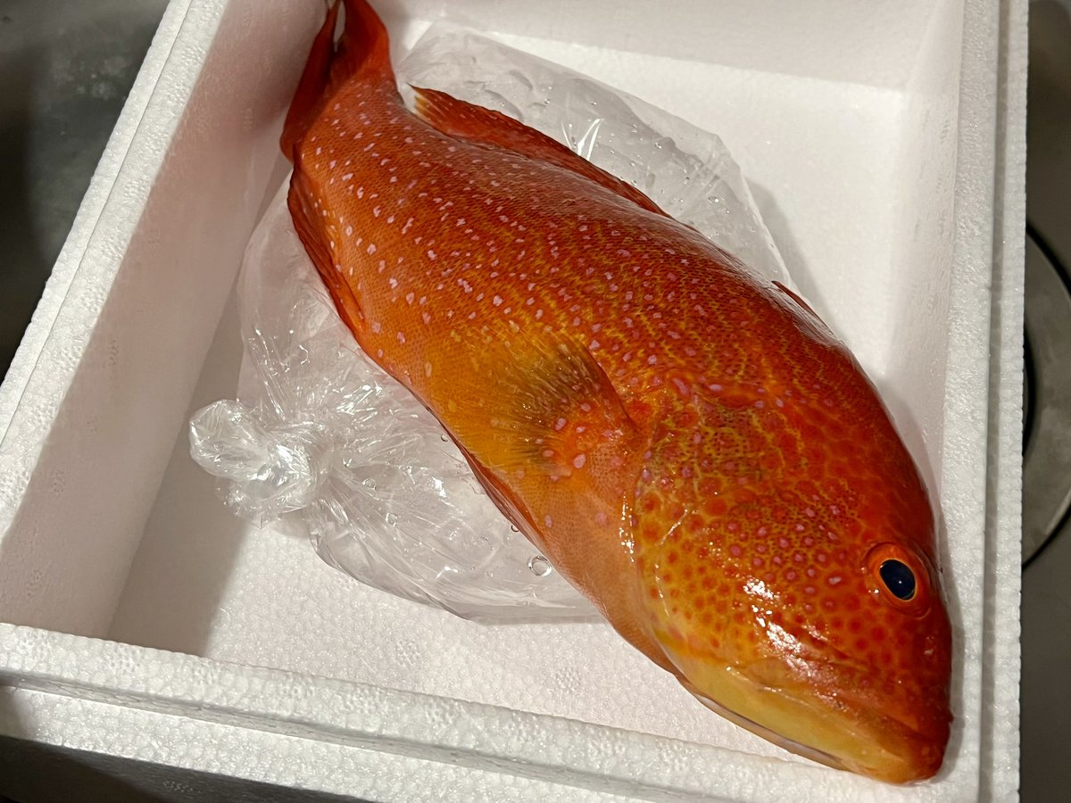 自分へのお土産！！