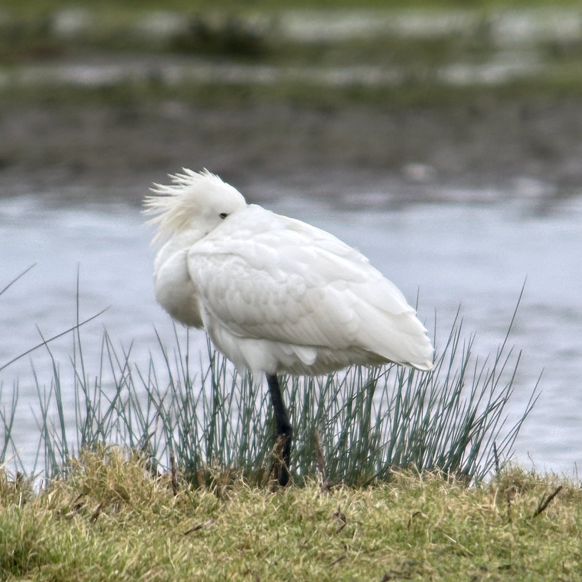 Tim Jukes tweet media