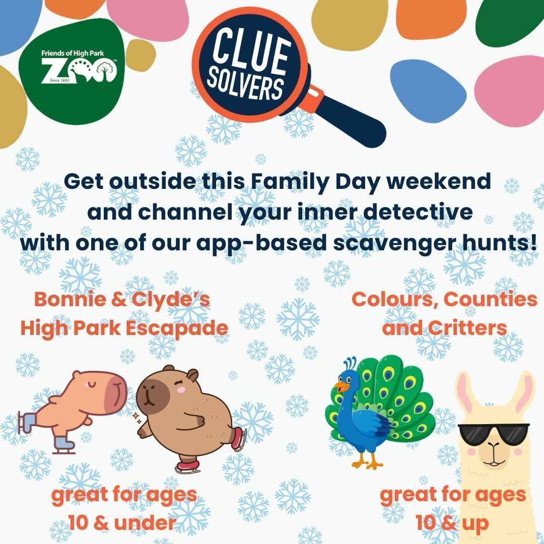 Looking for something fun to do this weekend? For more information or to purchase a game visit: buff.ly/4jLfRjf 

#cluesolvers #familyday #toronto #outdoorfun #highpark #highparkzoo #family #kids #outdoorkids