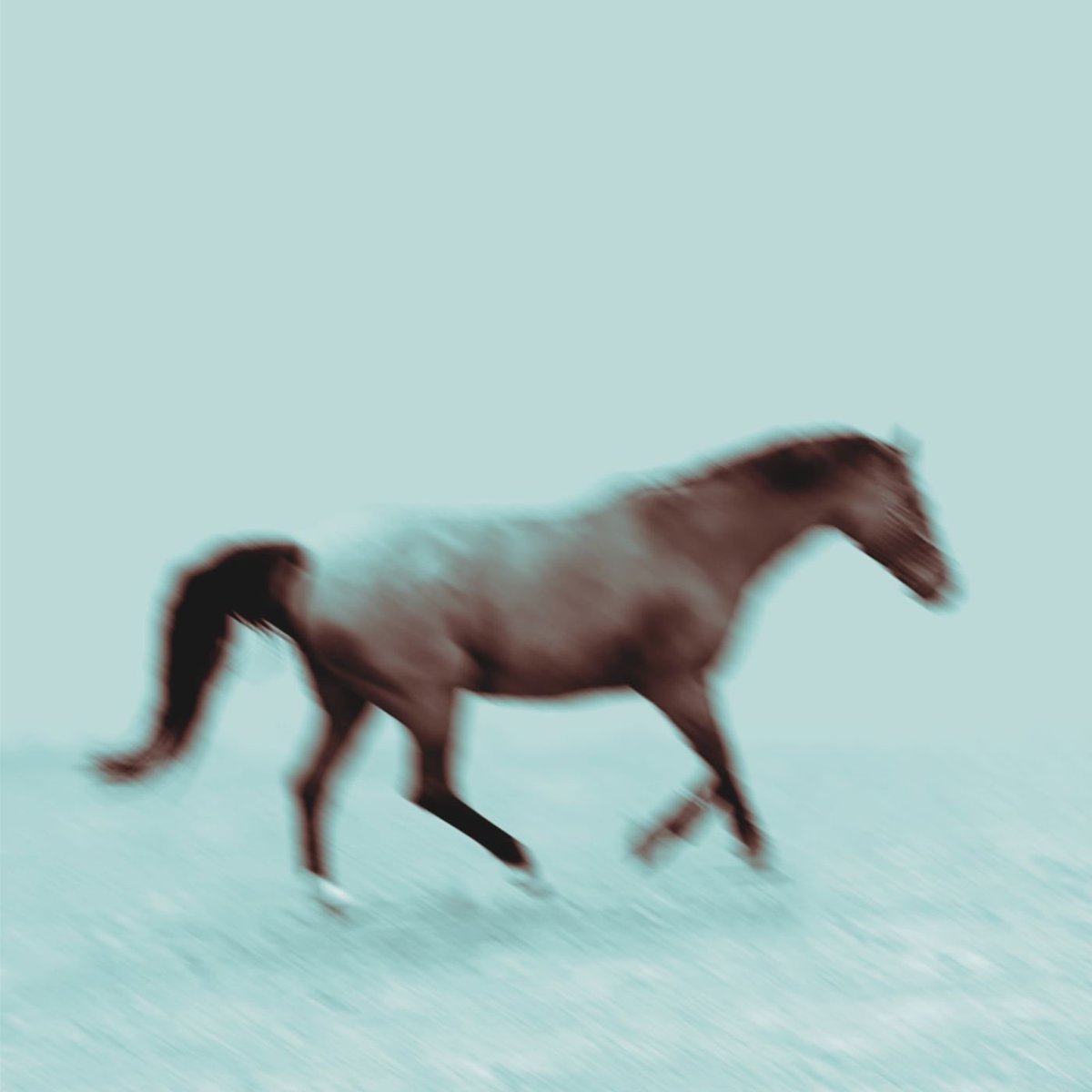 Manilla Times tweet media