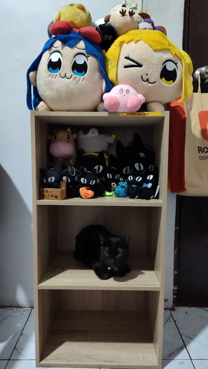 Found a shelf at the local hypermarket at a steal, so I bought it

This isn't even half of my plushie collection

Void for scale