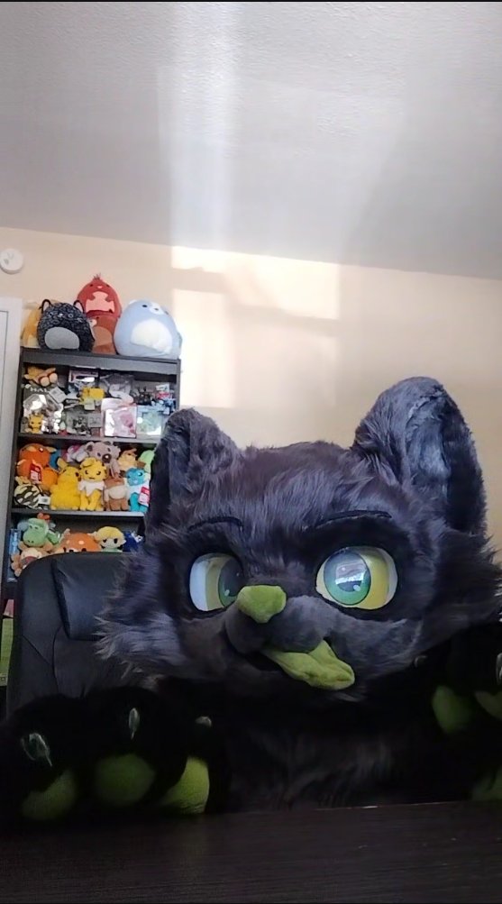 Mr_Chibi7's tweet image. #fursuit #fursuitfriday #furry
It's fursuit Friday on Friday the 13th, time to hide and look derpy as possible for my bad cat luck self!

Have a beaniful Friday 💜💜💜