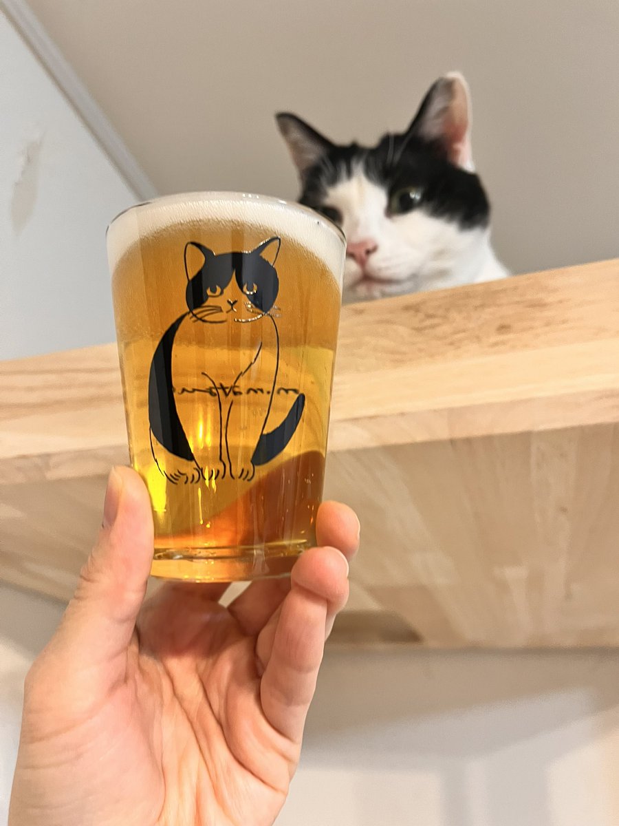 Post by ちょる on X: ビ