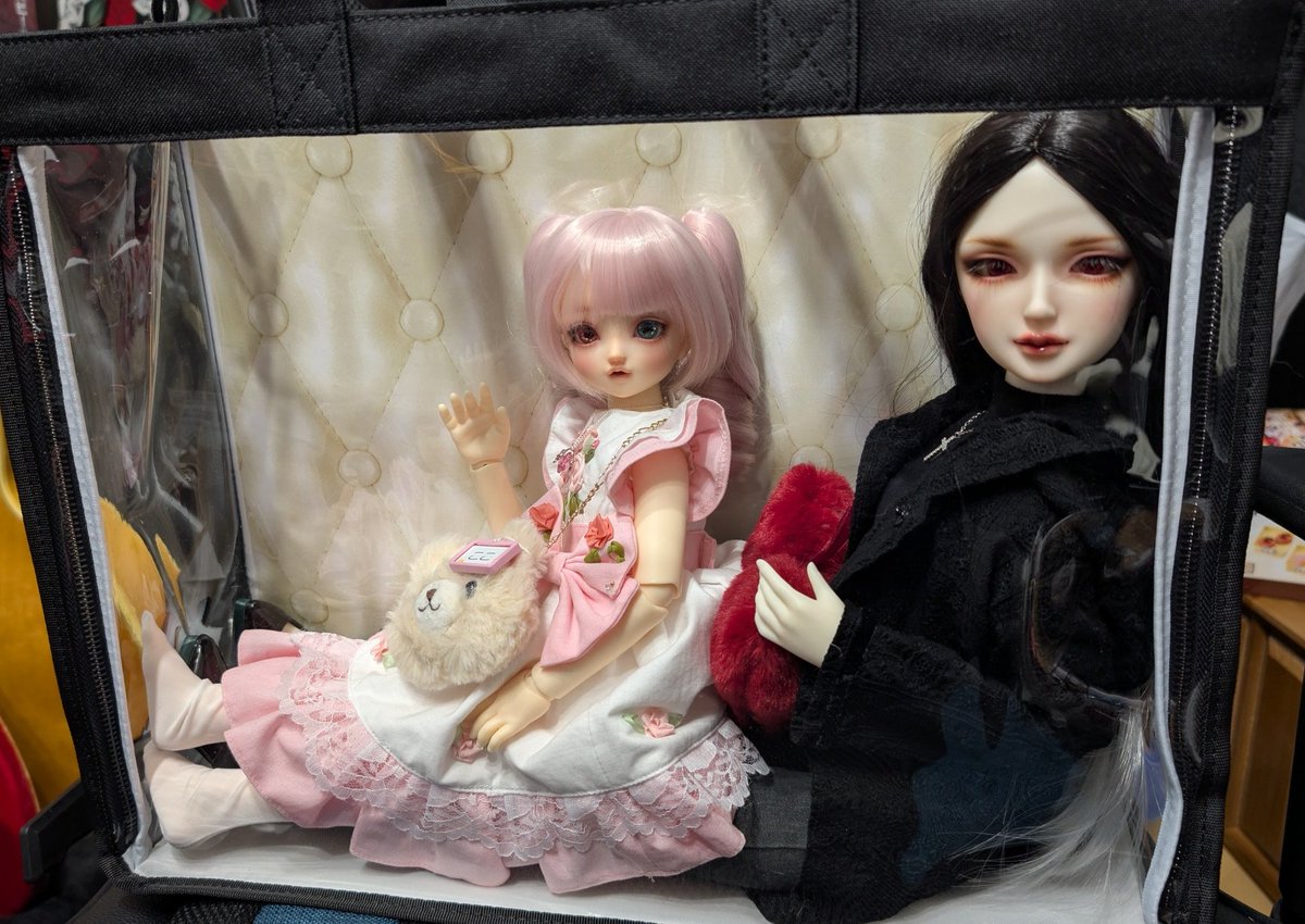 明日の初アイドールに向けて、うちのこかわいいバッグに押し込まれた母娘😆
2.2kgちょい。もっと軽いかと思ってました、微妙～～な重さなんですね😅
どう見てもこの2人を誘拐しているようにしか見えない挙動不審なオッサンを見かけたら優しくしてあげて下さい🙇‍♂️