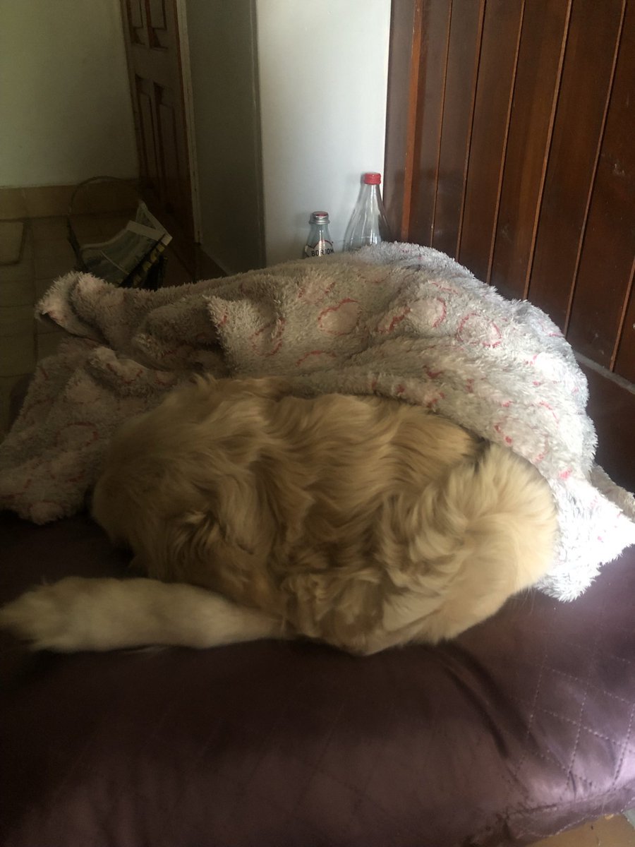 Hande Fındık tweet media