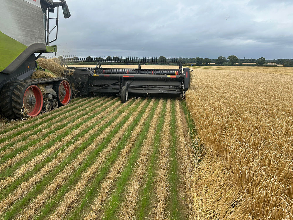 Pitchcare tweet media