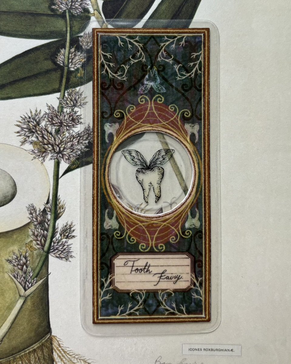 🔬ที่คั่นหนังสือจิ๋ว ได้ไอเดียมาจากสไลด์กล้องจุลทรรศน์ในยุควิกตอเรียน สมัยที่คนกำลังตื่นเต้นกับการค้นพบทางวิทยาศาสตร์ ตอนนั้นเขาจะเก็บตัวอย่างเล็ก ๆ อย่างพืช เนื้อเยื่อ หรือสิ่งมีชีวิตจิ๋วไว้ระหว่างแผ่นกระจกบางๆอย่างระมัดระวัง เพื่อเอาไว้ส่องดูและศึกษา