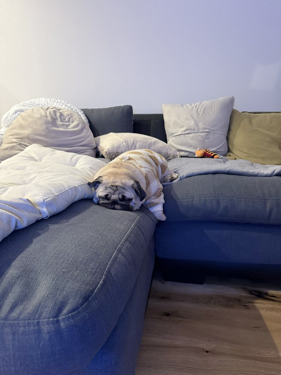 パグのもろみ tweet media