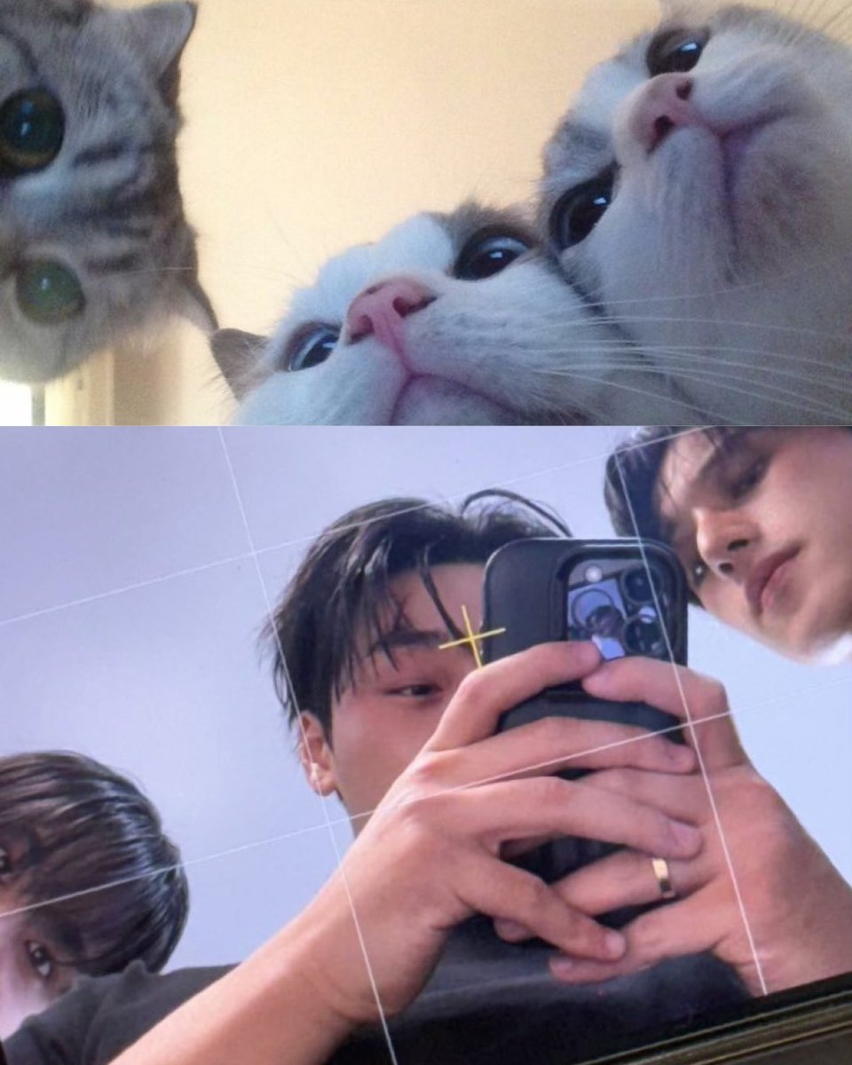 bobawooyo's tweet image. the counsel will now decide your Fate