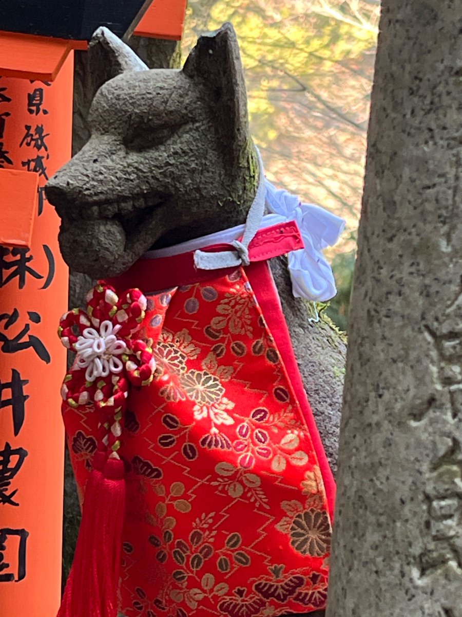 ハッとするくらいおしゃれで
すてきなおべべのコたち
愛を感じますなあ…