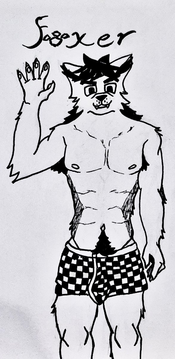 Foxer 🦊 tweet media