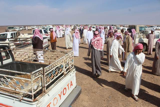 ارتفاع أسعار اللحوم في #تربة ومستهلكون يطالبون بالرقابة -  aainnwes.com/28959.html