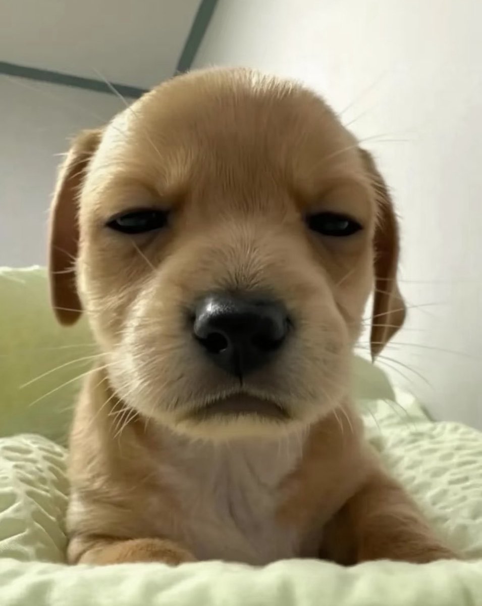 ⁺◟ ܸ.꩜  🍒Y youtube 3O days ꒰ 🍏𖦹ᱸ

yourmail 𓏔 2O฿
mailshop 𓏔 +9฿

🐰สั่งซื้อสอบถามลิ้งค์หน้าไบโอ ·˚

✿ ไม่มีโฆษณากวน พับจอได้
✿ มีแบบต่อเมล
✿ ดูแลตลอดการใช้งาน
✿ มีแบบเคลม

#หารยูทูปพรีเมี่ยม #ยูทูปพรีเมี่ยม #ยูทูปพรีเมียม #หารYouTubePremium #ยูทูปพรีเมี่ยมราคาถูก