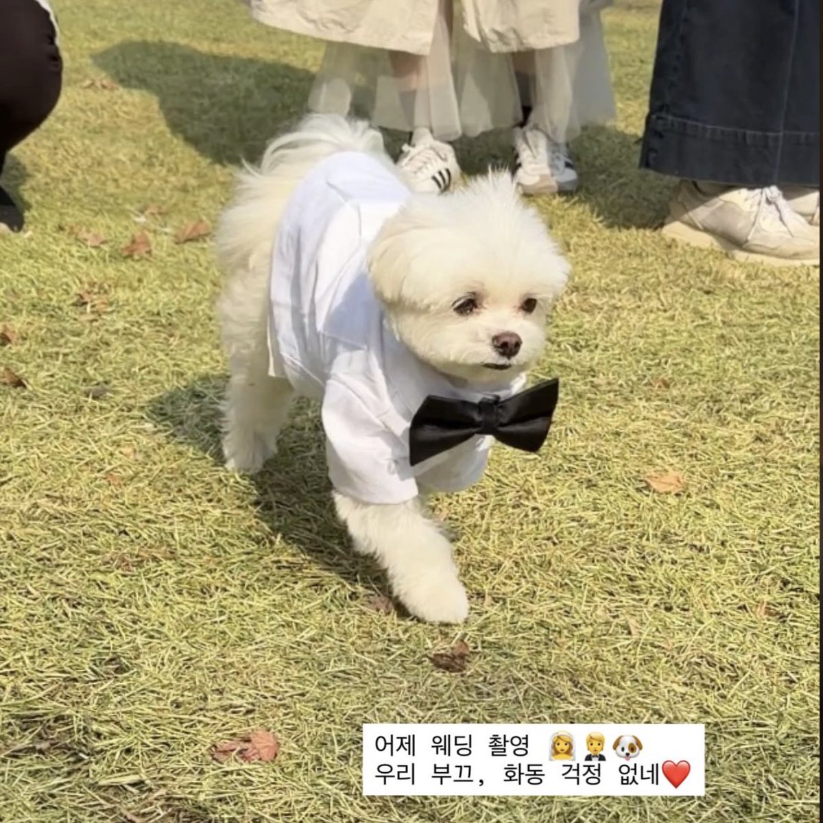 부끄 화동 아 미치겟닼ㅋㅋㅋㅋㅋㅋㅋㅋㅋㅋㅋㅋㅋㅋㅋ큐ㅠㅠㅠㅠㅠㅠㅠ