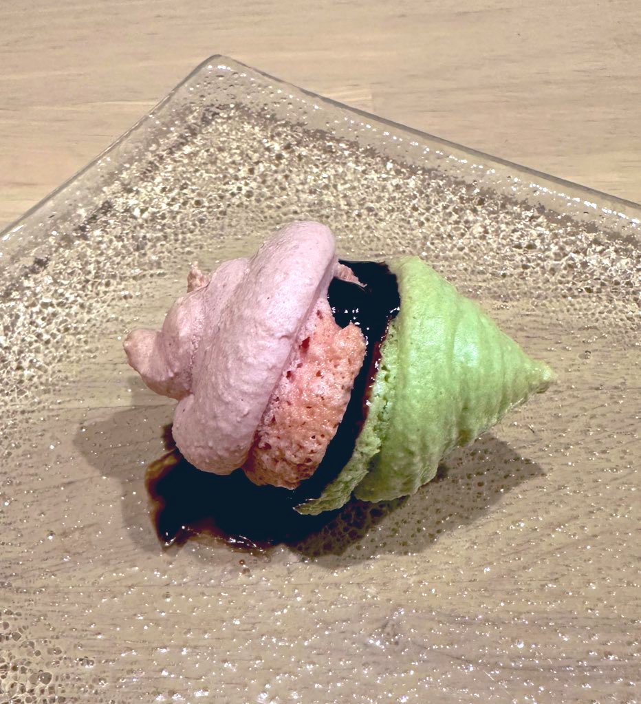 【......聞こえますか...数日前の私に呼びかけています...無印の2色マカロンを買ってはいけません...お菓子作り初心者が手を出すと大惨事になります...新種のサザエができますよ......】