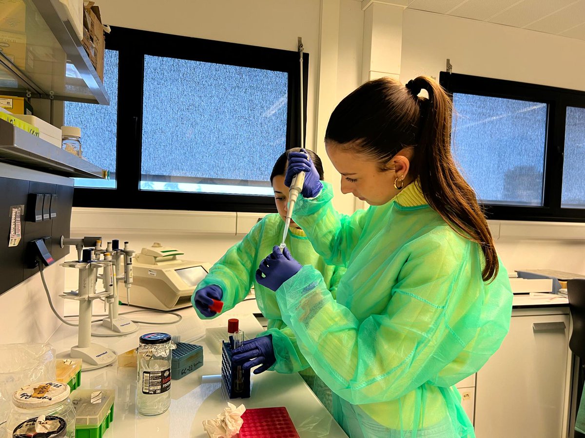 SalesianosPAL's tweet photo. 🔬✨ Nuestras alumnas de 1º de Bachillerato visitan el IMIBIC por el #11F dentro de #Mentoring.
Ciencia real, referentes femeninos y vocaciones que despiertan. 👩‍🔬💜
#MujerYNiñaEnLaCiencia #CienciaConFuturo https://t.co/vDEl16SabA