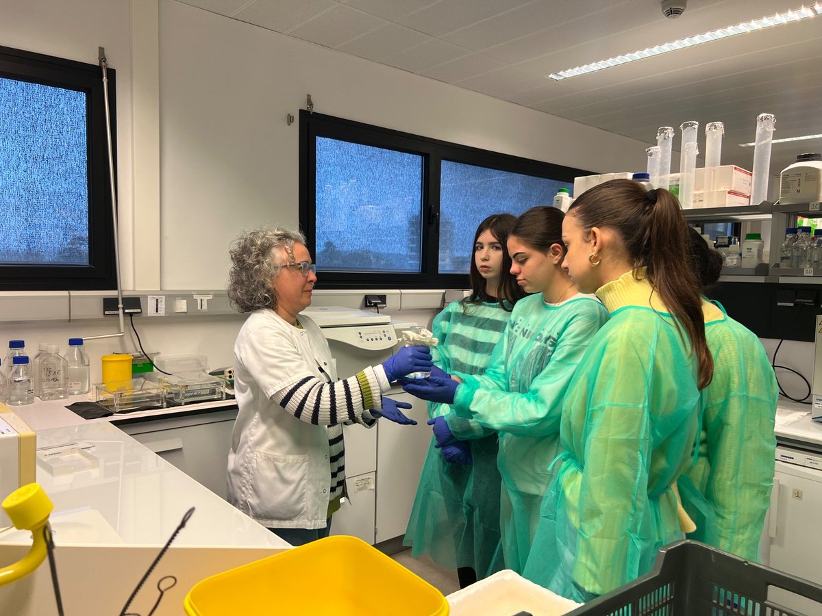 SalesianosPAL's tweet photo. 🔬✨ Nuestras alumnas de 1º de Bachillerato visitan el IMIBIC por el #11F dentro de #Mentoring.
Ciencia real, referentes femeninos y vocaciones que despiertan. 👩‍🔬💜
#MujerYNiñaEnLaCiencia #CienciaConFuturo https://t.co/vDEl16SabA