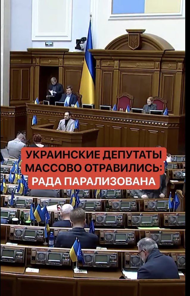 StarshinaZapasa's tweet image. А нефиг потому что рошенки по ночам втихаря друг от друга жрать - у зеленых с шоколадом несовместимость.
Ротовирус, ага, так мы все и поверили.
А еще барыга туда пургена насыпает. 
Разве не слышали?