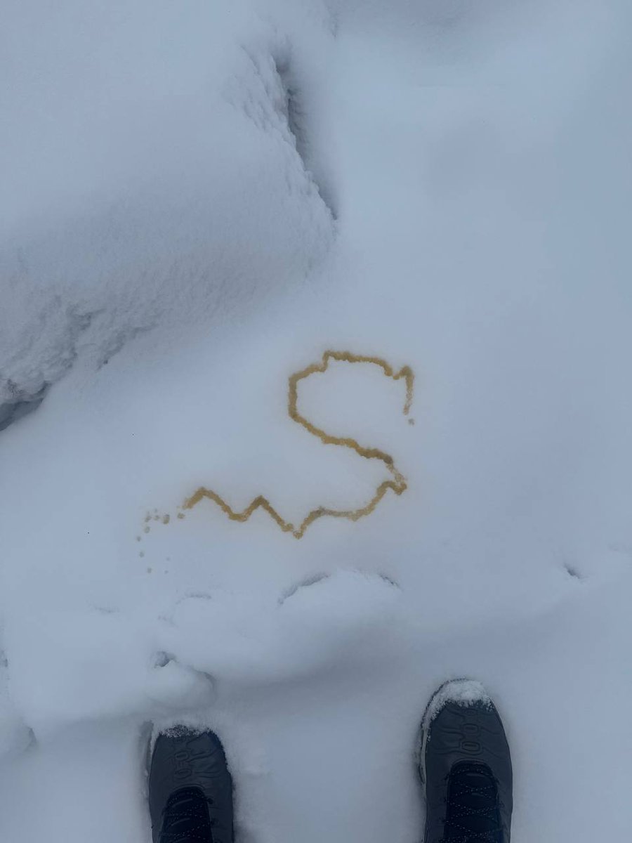 SolanaXape tweet media