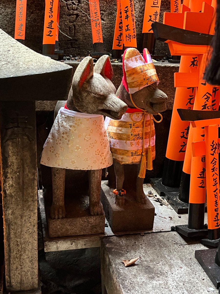 お参りするたびに
あらーおかわいい！って
思わずお声をかけちゃう方々