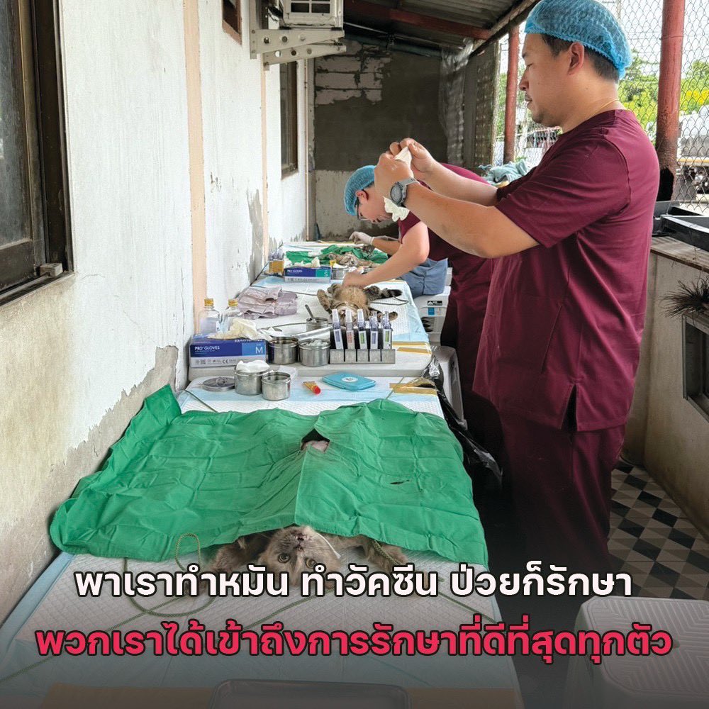 ความรักของคุณหน้าตาเป็นยังไง #วาเลนไทน์