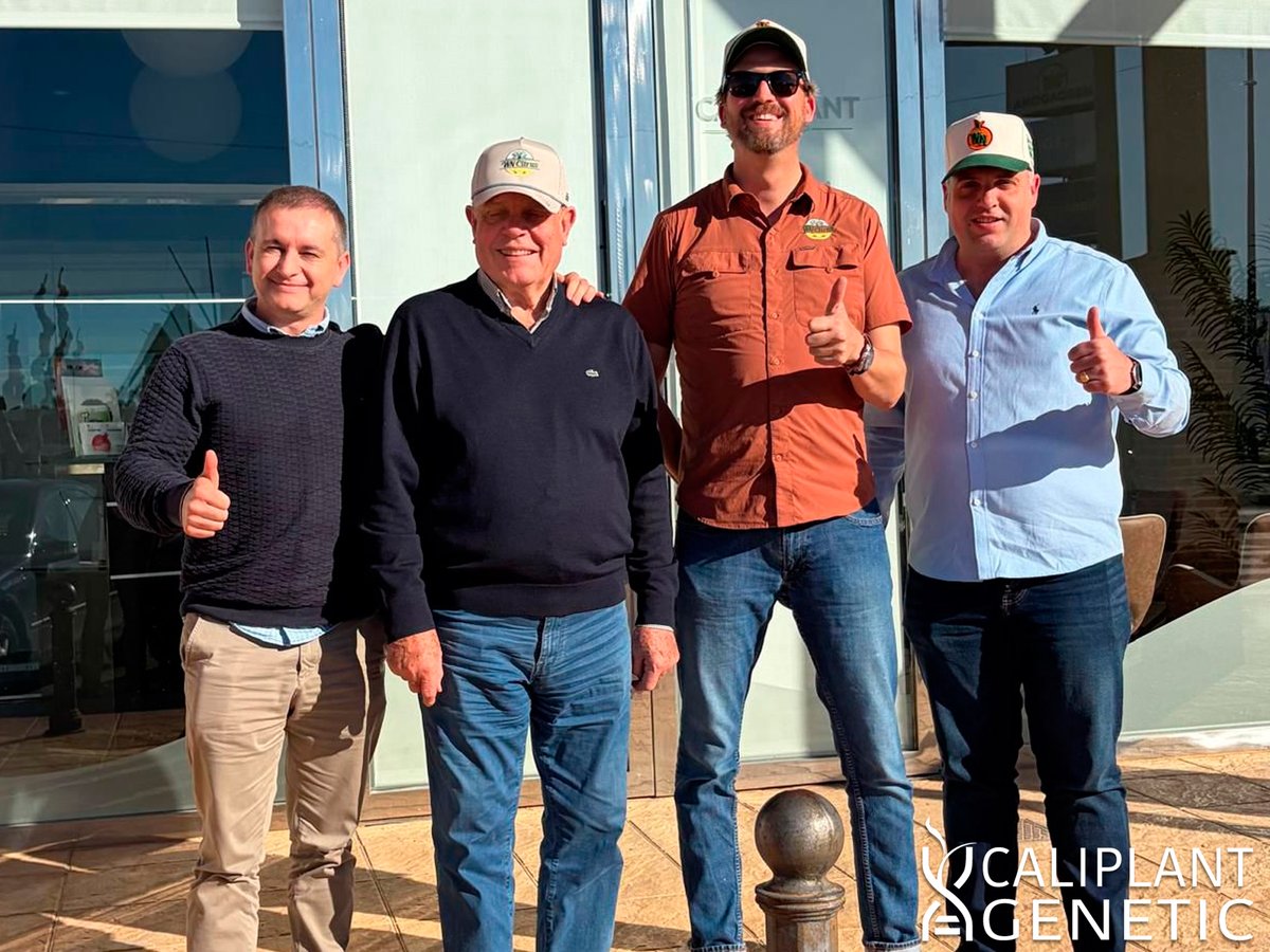 cpgenetic's tweet photo. Os dejamos algunas fotos de la visita de Zac Green de WN Citrus para conocer de primera mano las variedades del programa genético Ciqua, del que será uno de los viveros autorizados para California. https://t.co/v3zLx8Dpff