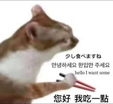 排球教練 tweet media