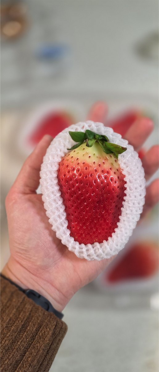 [연휴 시작 &amp; 주급일]
오늘은 회사에서 일찍 3시쯤 퇴근했습니다.
사실 안가도 되는 날인데 할게 있어 갔네요.
그래도 오랜만에 날이 밝을 때 퇴근했습니다!
체감상 어제보다 미세먼지도 줄어든 것 같아요.
내일부터 연휴라는 생각에 세상이 밝게 보이는 걸지도?

집에 와서 주급 날이니까 X도 좀